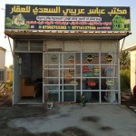 عباس مهدي