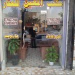عامر مهدي