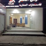 سيف علي
