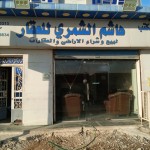 هاشم علوي